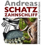 schatzzahnschliff